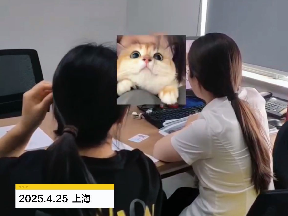 西安中医师承公证