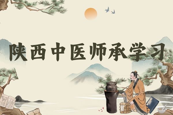 陕西中医师承培训哪家好？